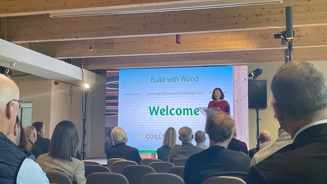 Ireland should be 'self-sufficient' for timber - Coillte CEO