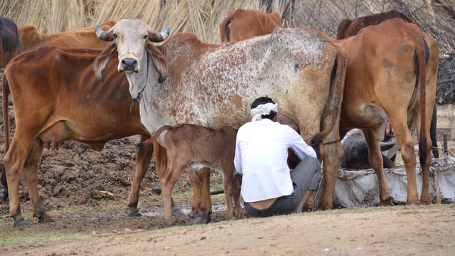 Farmers worldwide and their transition to 'climate-smart agriculture'