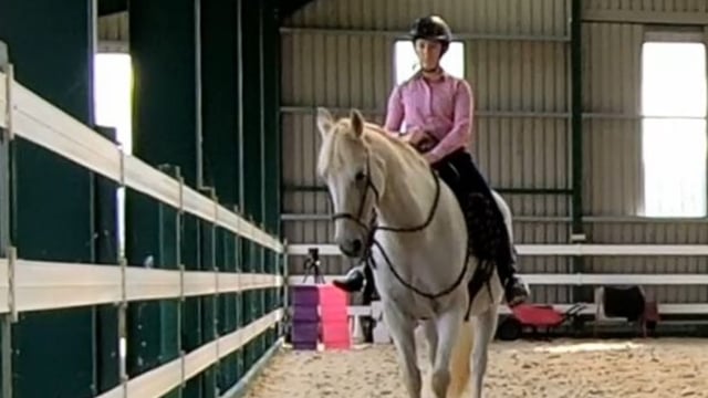 Co. Tipperary author promotes philosophy of listening to horses