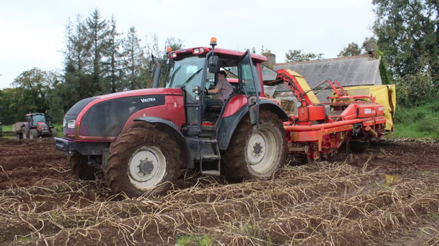 Two-thirds of potato crop yet to be harvested