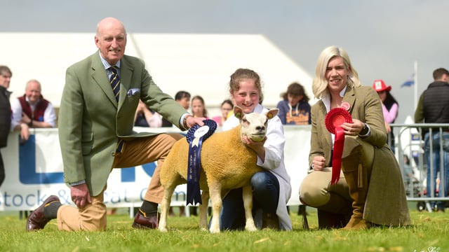 New Board appointed to Livestock and Meat Commission