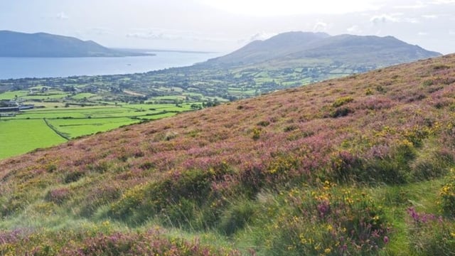 ACRES: Progress continues on assessment of commonages