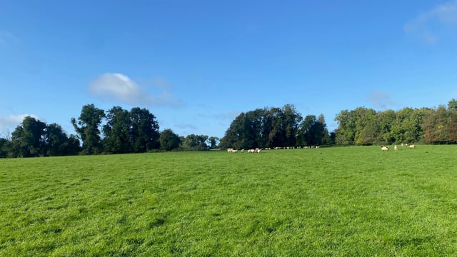 Property: Auction of €1.9m Kildare land amid farm restructuring