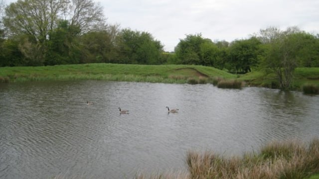 Trinity professor calls for private funding for 'ecosystem services'