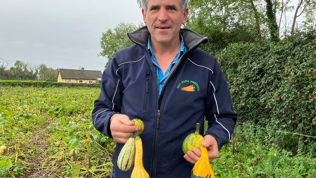 Watch: Produce and pumpkin farm in Meath attracts thousands