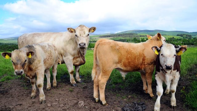 Biofarm 2023 to focus on   natural farm management