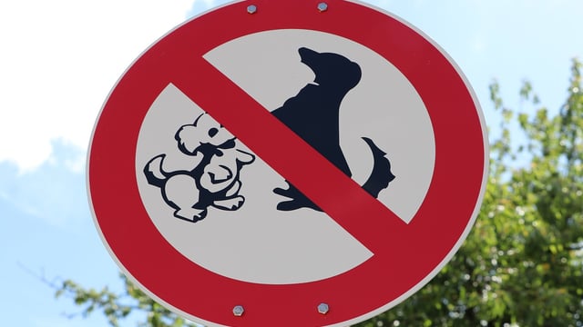 New 'dog control notices' under consideration - minister