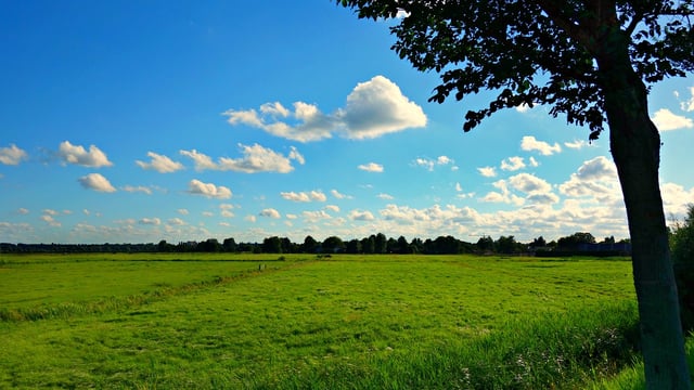 €4.3bn investment needed for 'energy transition' in agriculture - Davy