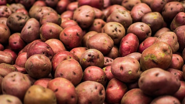 Ever wondered where the not so humble potato came from?