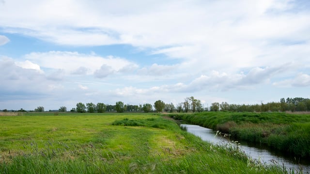 Carbon farming agreement reached by EU council and parliament