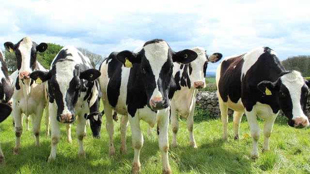 Conditions in speciality agriculture continue to be 'challenging' - Carr's Group