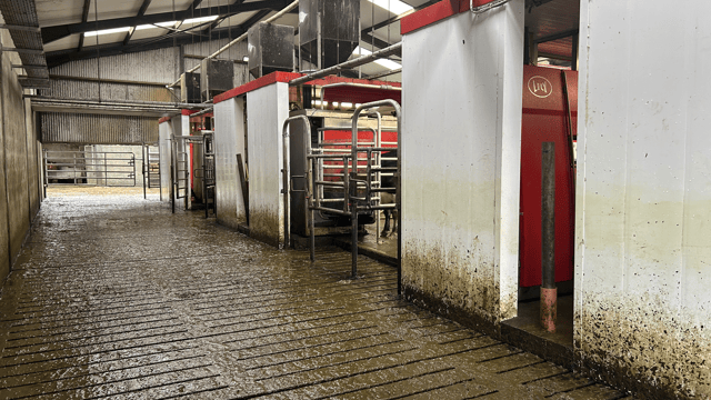 Dairy Focus: Labour issues lead brothers to switch to Lely robots