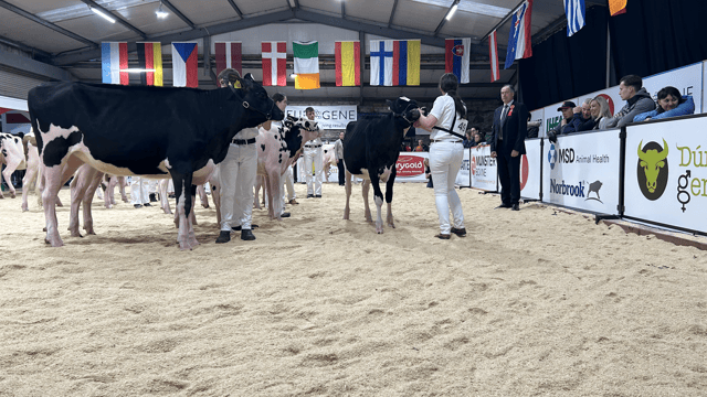 AXA National Dairy Show: Results from day one