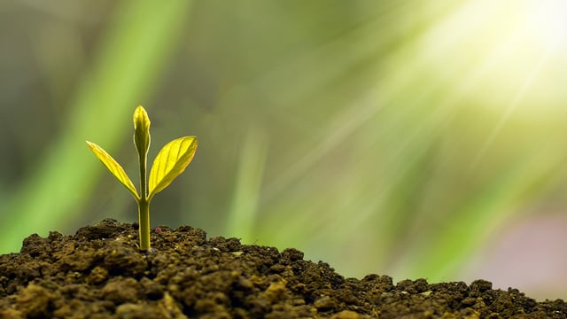 First national Bioeconomy Action Plan published by government