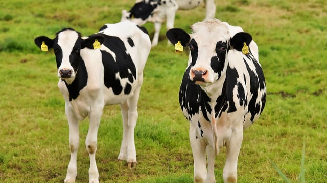 Report: Farmers most trusted in food industry