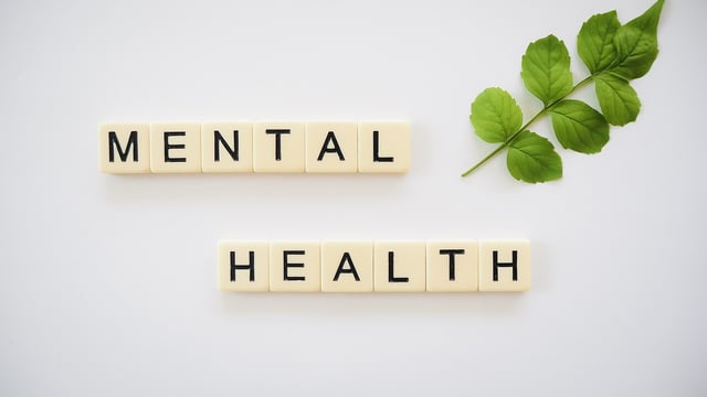 Webinar on maintaining mental health in farming