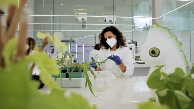 Italy bans lab-grown meat due to social and economic risks