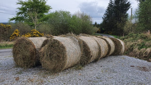 How rushes can be utilised to reduce on-farm emissions