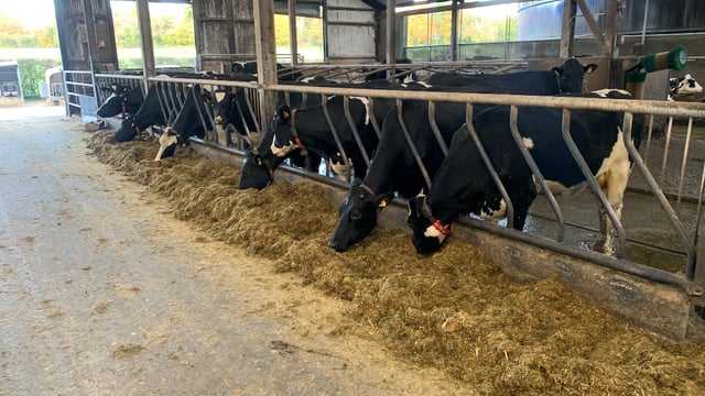 Silage slippage a major issue in Northern Ireland
