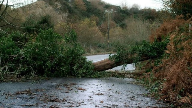Storm Darragh: Around 395,000 without power