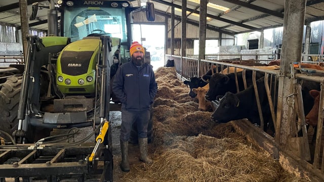 Beef Focus: An 'eclectic' cattle system in Killinaskully country