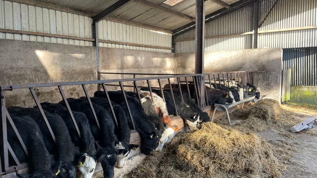 Changes to DBI set to appear in November evaluations