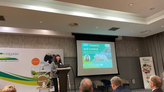 AHI outlines IBR free status will be a 16-year journey