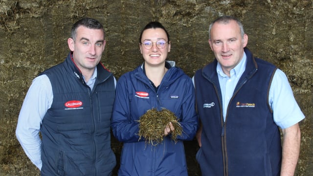 NI dairy farmers have sufficient silage for winter