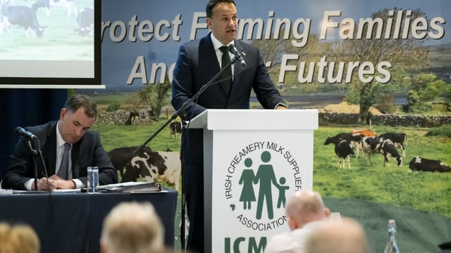 EU states see derogation as 'competitive advantage' - Taoiseach