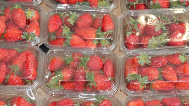 'Relief' for farmers as MEPs vote on packaging waste
