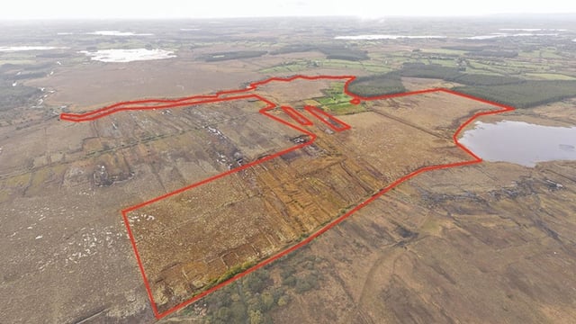 'Biodiversity wonderland' in Roscommon offered for sale