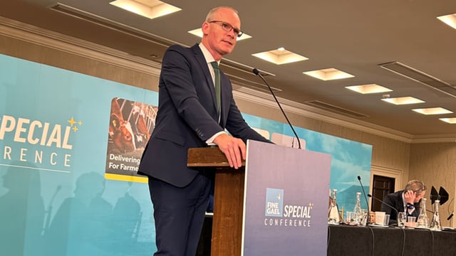 Coveney not making himself 'available to serve in cabinet'