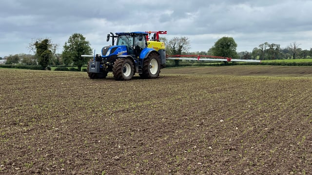 Weed control in newly planted winter cereals