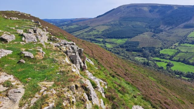 430,000ha of eligible commonages declared under schemes in 2024 - Heydon