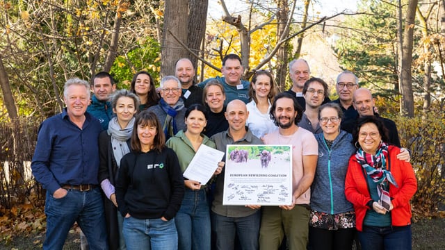 European organisations seek to scale up 'practical rewilding'