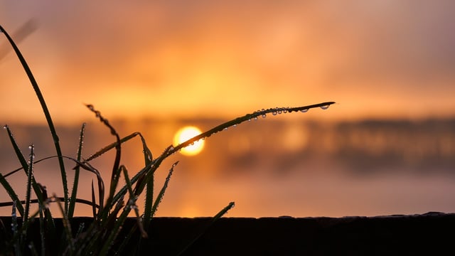 Both temperatures and rainfall were above average in April