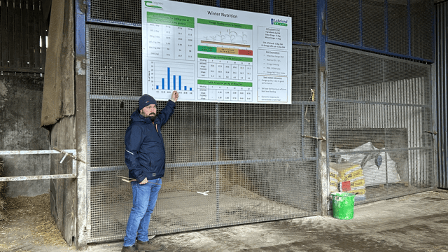 High-quality forage vital within a winter-milk system