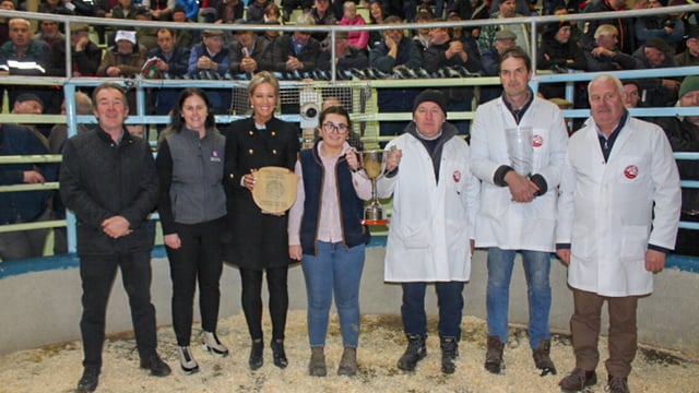 Bullocks hit €3,520 at Kanturk Mart fatstock show and sale