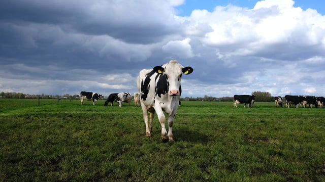 M&S UK aims to achieve its 'Net Zero' goals by 2040