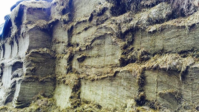 Planning retention for silage pit and shed refused by An Bord Pleanála