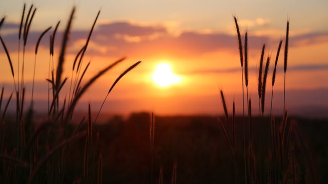 What do farm orgs say about the Daylight Savings Time debate?