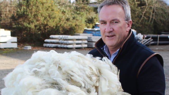 Global wool prices have started to strengthen - British Wool
