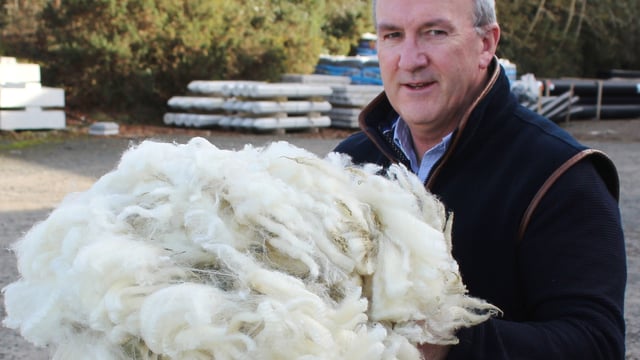 2025 wool shearing season is underway in Northern Ireland