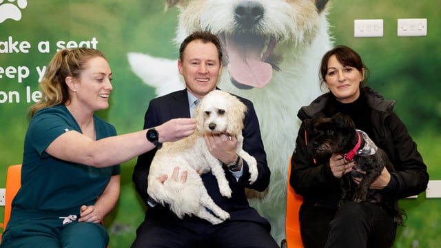 Animal welfare charities to receive €6 million funding