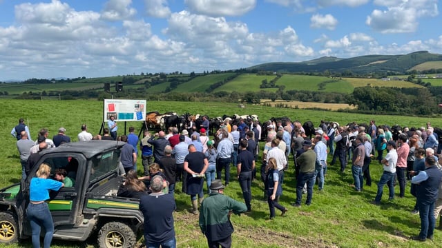Advantage Beef Programme: Events and initiatives in 2023