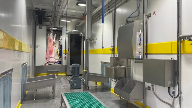£4m fund rolled out to back 'smaller abattoirs' in England