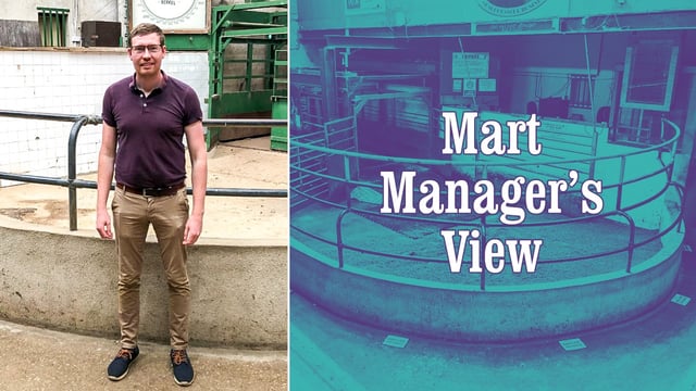 Enniscorthy mart manager on cattle prices and trade trends