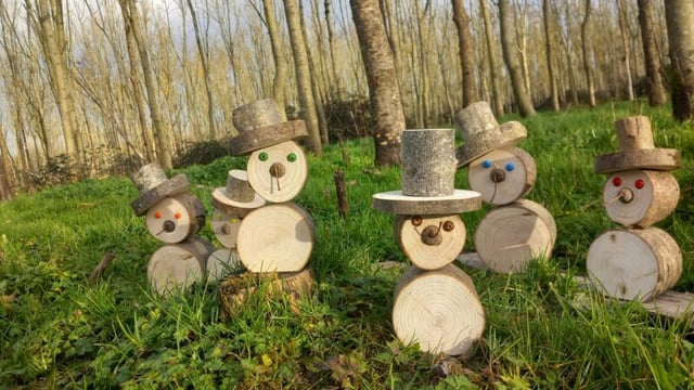 Latest category winners of forestry photo competition announced