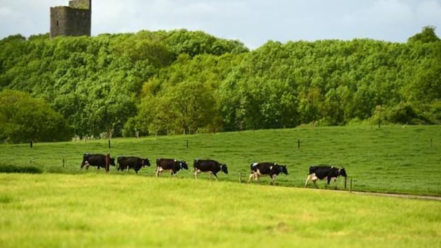 FBD Group invests €6m in new research centre at Moorepark