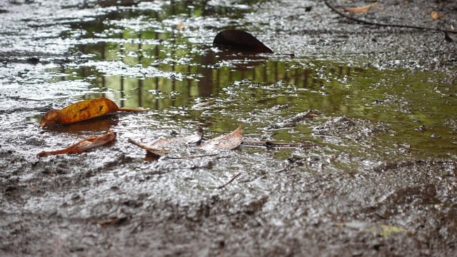 Status Yellow rain warning issued for several counties